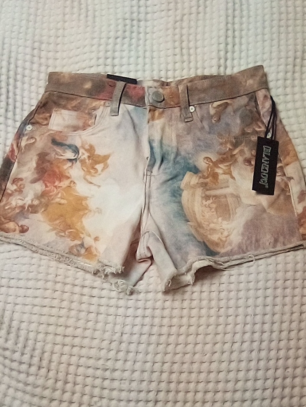 Blank NYC Pastel Baroque Print Denim Shorts